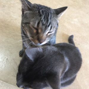 Meet your Posher, Yuechao